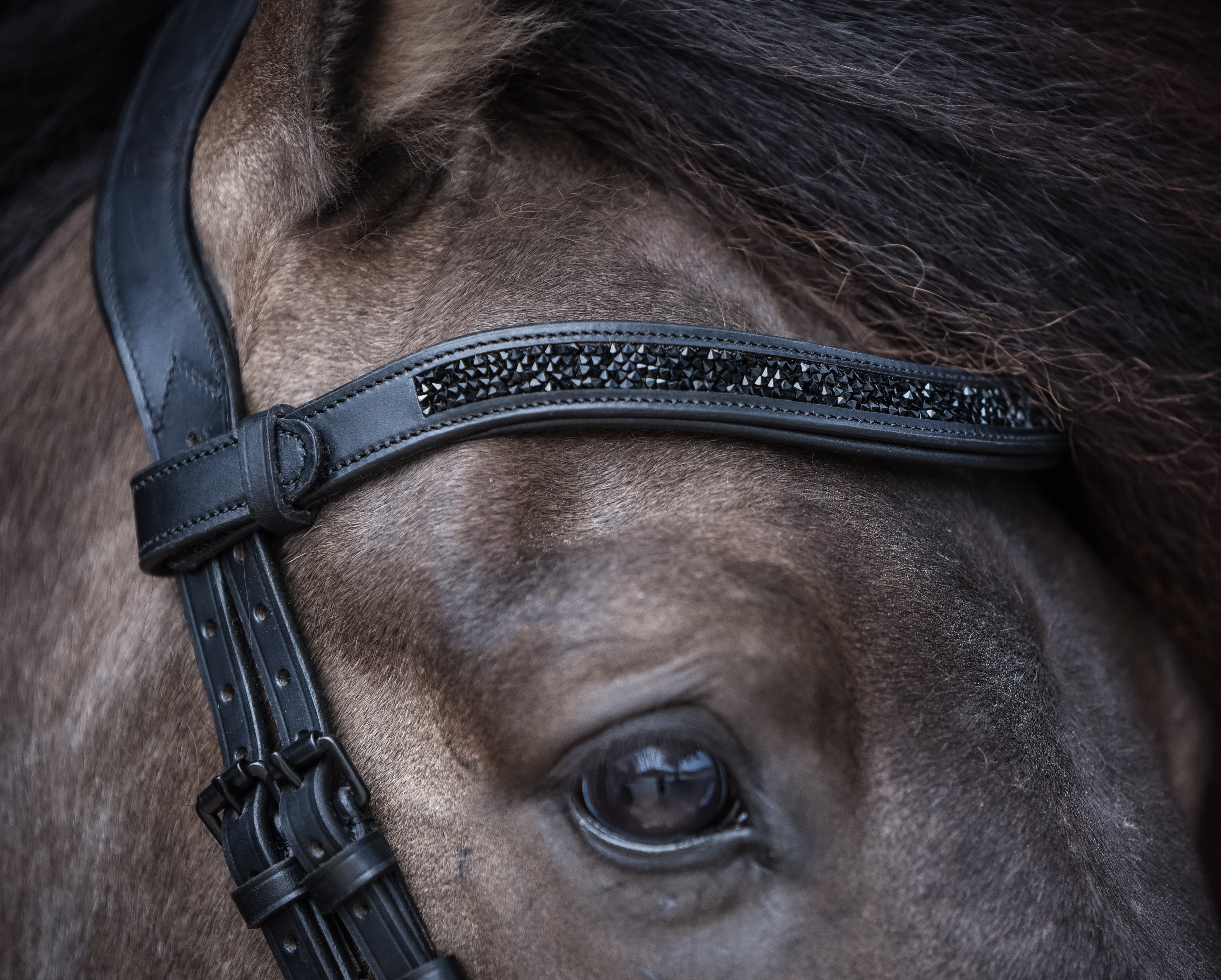 Anatomische Trensen Basic