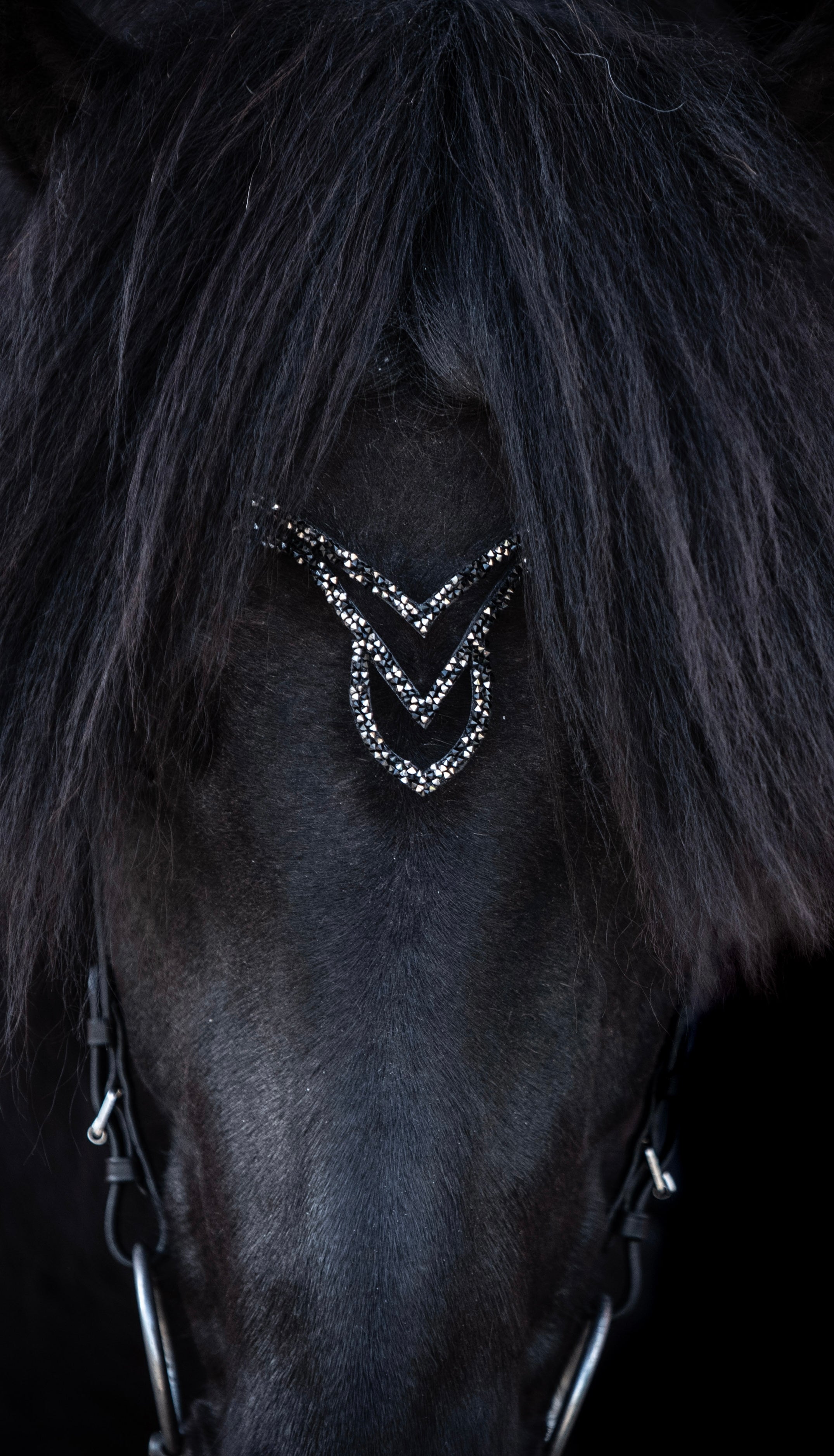 Outlet - Stirnriemen