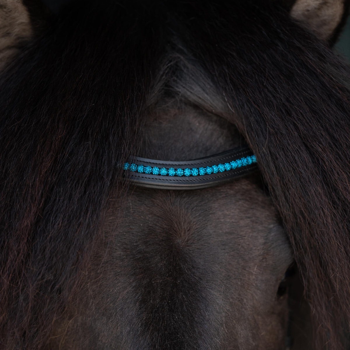 Perlur bridle for Icelandic horses – CrownHorse