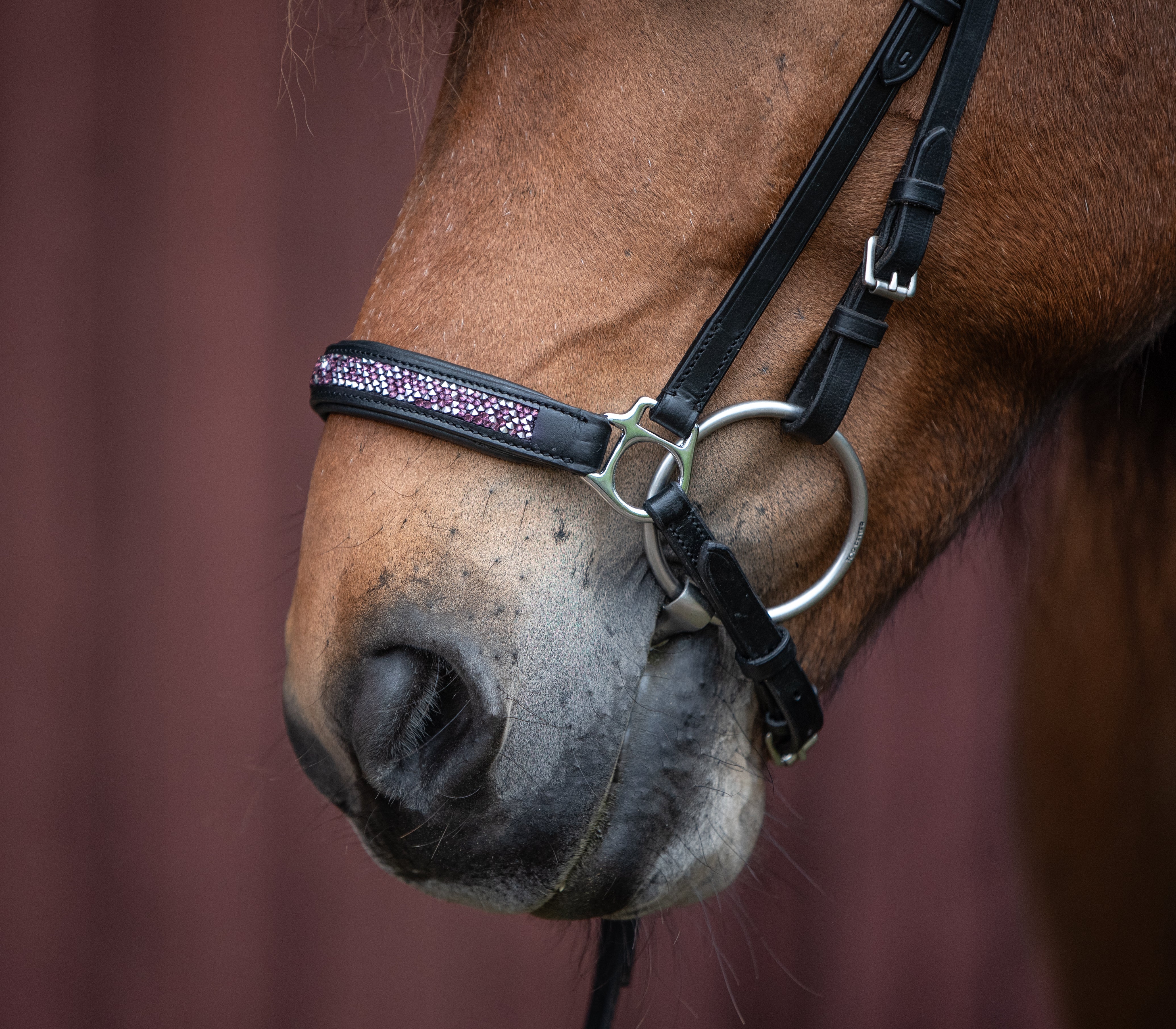 Hannoversche Nasenriemen