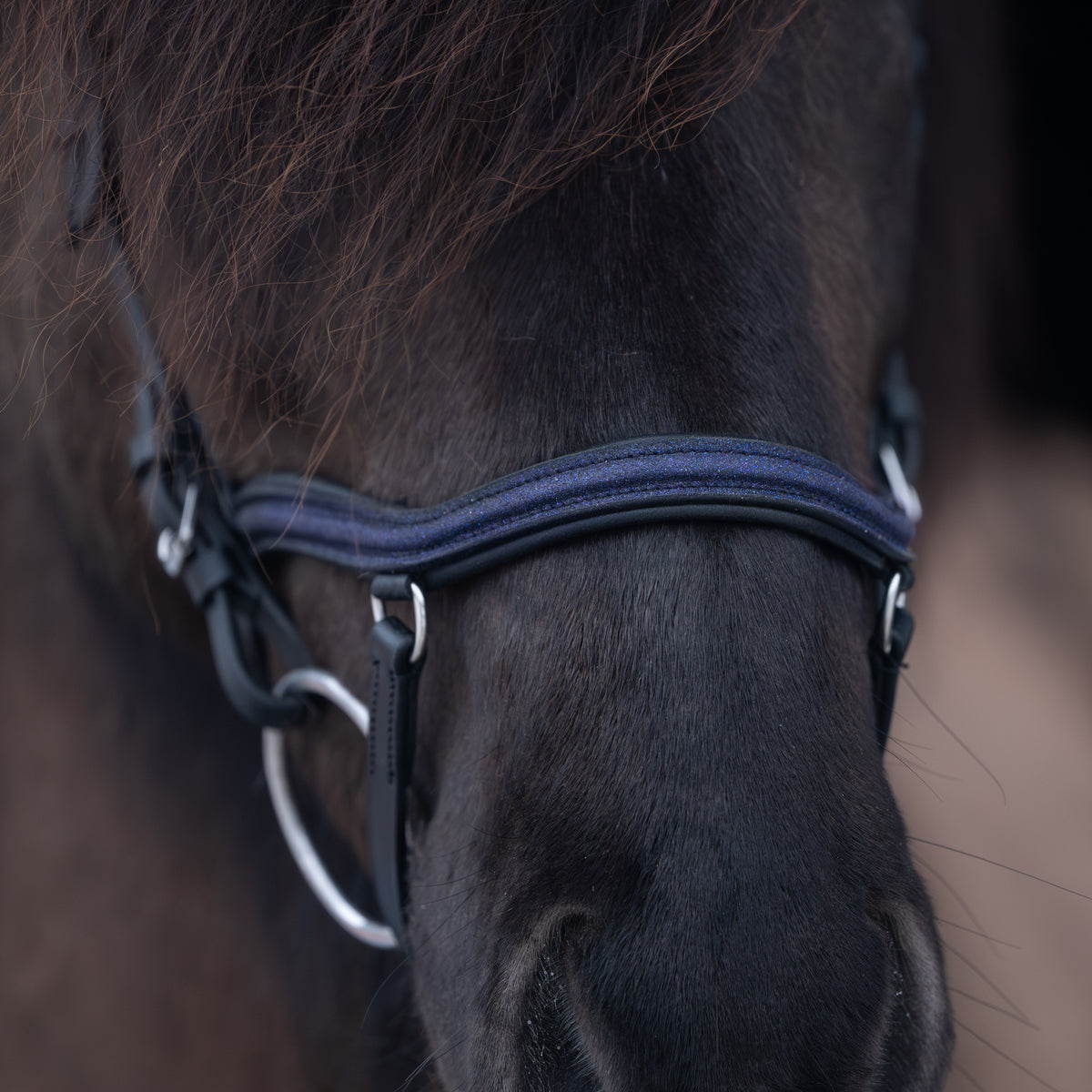 Anatomical Bridle Basic - Sparkle Black – CrownHorse